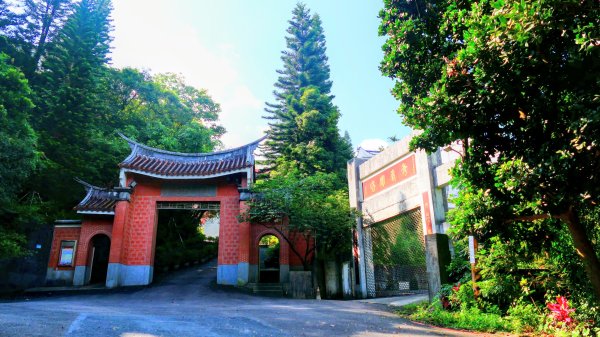 普剌(拉)特草3071849