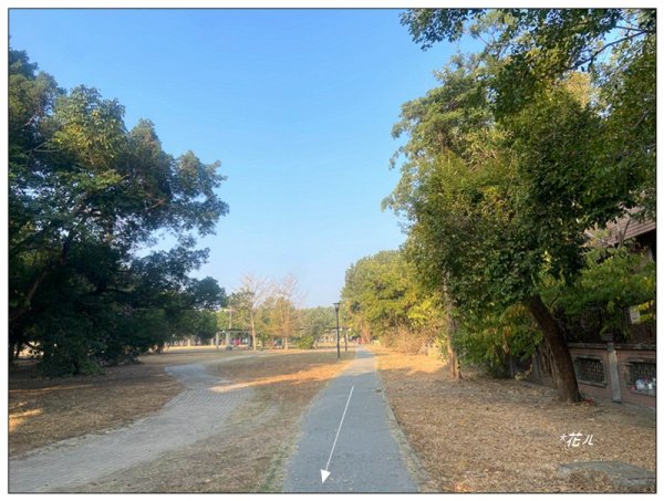 港坪運動公園 (嘉義市)3008875