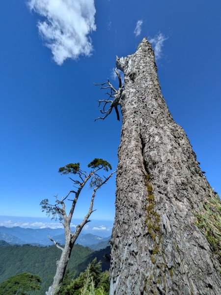 結界縱走三日(結城山、境界山、檜山)2920901
