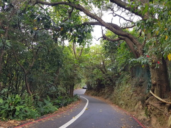 虎山溪步道1800968