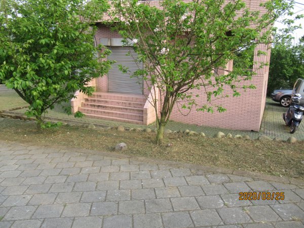 樹林大棟山918294