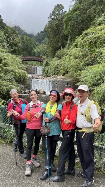 溪頭鳳凰林道_大學池_202408012577738