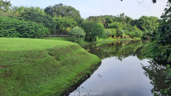 《台北》城市晨運｜南港公園後山埤公園O繞202505232795845