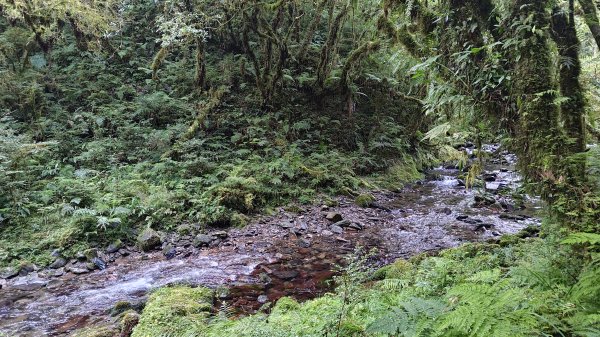 棲松縱走未竟2918390