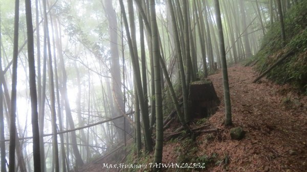 《雲林》望好望角｜石壁山嘉南雲峰步道(中側登山口）202506072805486