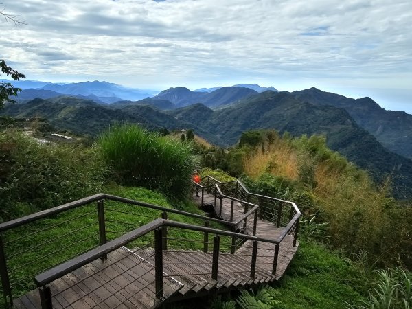 二延平步道&茶霧之道2636679