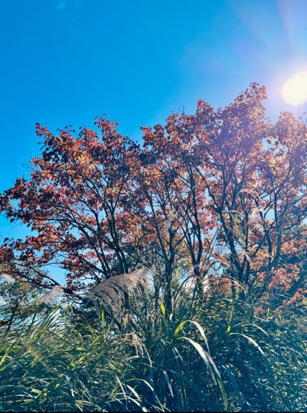 三星山(小百岳#85) 鳩之澤溫泉煮蛋趣2953233