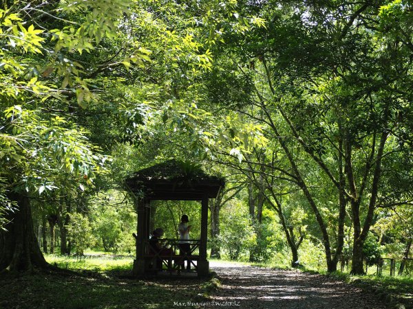 《宜蘭》植物博物館｜員山福山植物園201805182889169