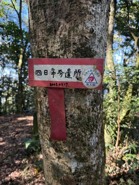 20251116鳴海山、網子山登山步道2938377