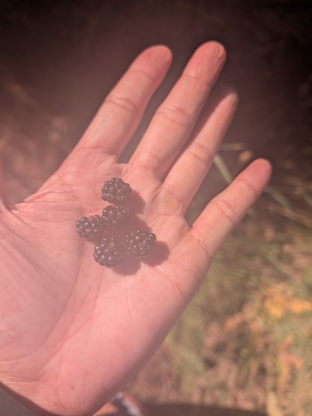 朝聖之路Sarria2983596