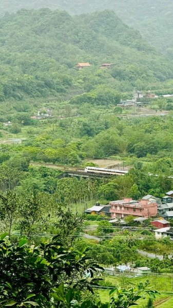嶺頭觀日步道，西九分坑山O走2809652