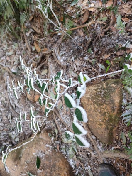 雪季北得拉曼2956427