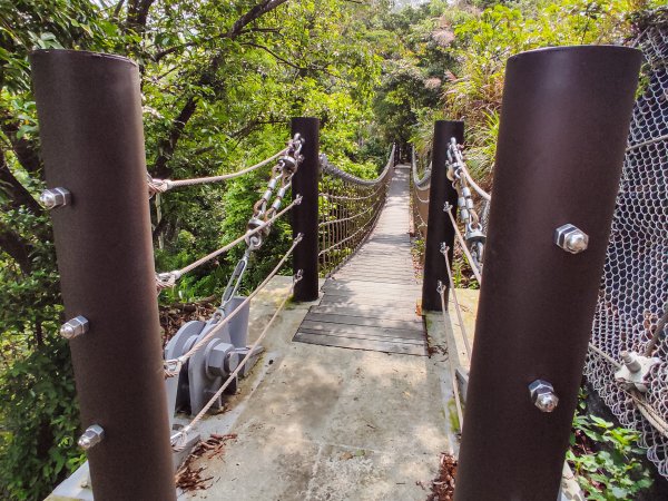 大坑3號登山步道1684736