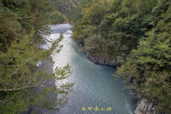 大小劍-油婆蘭全紀錄2674214