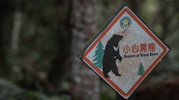 瓦拉米步道-佳心營地住一晚2708471