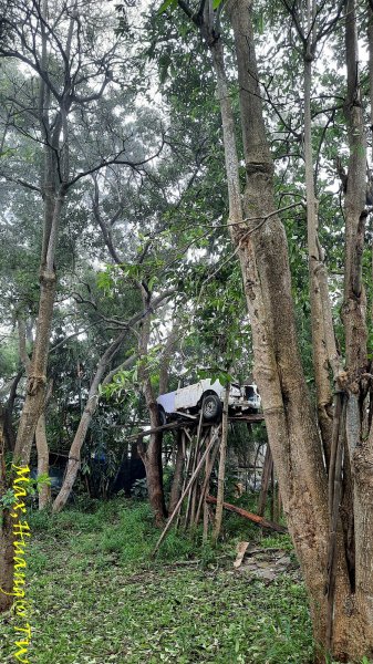 《台中》雙園連走｜東大公園連走都會公園202310072305980