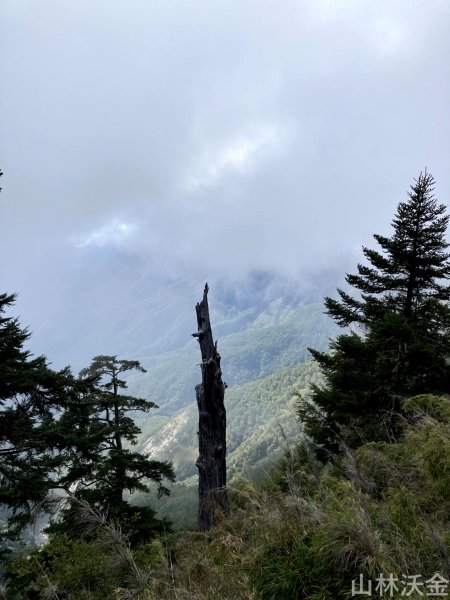 2023-11-27 玉山主峰2365063