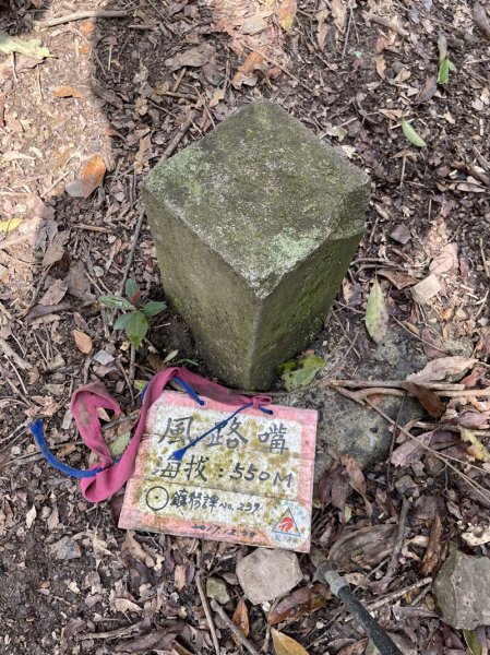 小格頭越嶺坪林2738362