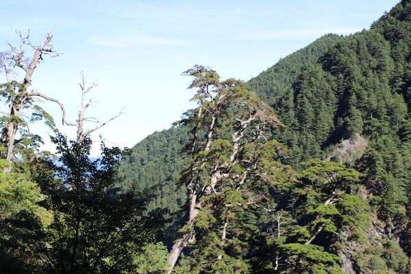 合歡溪步道健行174459