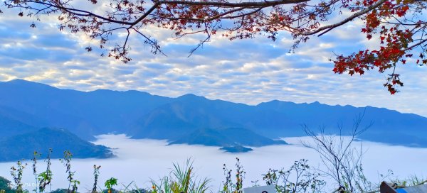 二訪馬拉邦山，解鎖 #琉璃光雲海 #日出雲海  #血月 #斜射光 #楓葉紅了！2668646