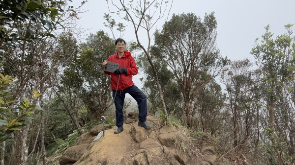 上上又下下的筆架連峰|西帽子岩|炙子頭山|峯花雪月2691194