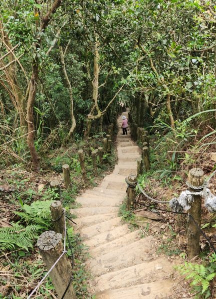 【中級山】台南第一高峰，關子嶺大凍山2741143