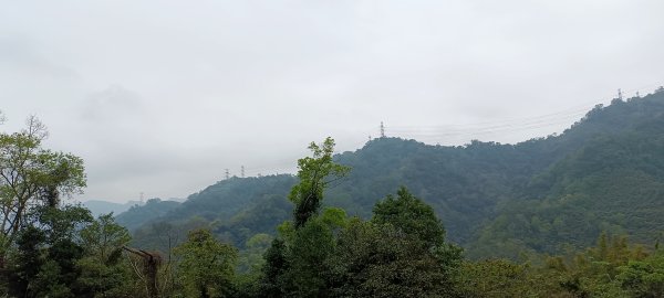 20230404_出磺坑山+古油井步道O型2094212