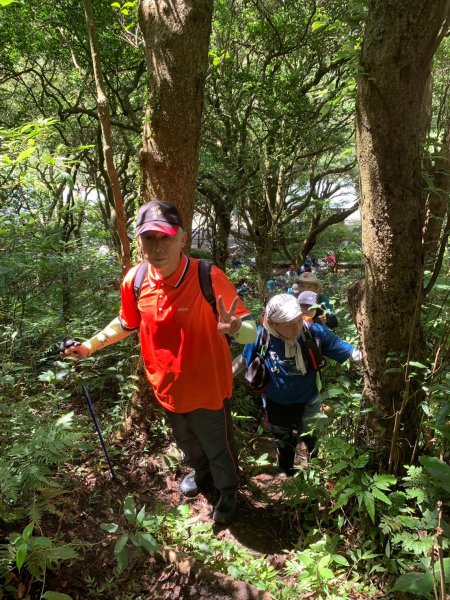 二子坪、二子山西峰、二子山東峰、大屯自然公園、菜公坑山、陽明山前山公園【臺北大縱走 1&2】2540910