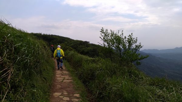 頂山,石梯嶺,竹篙山連走!165070