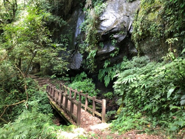 石壁仙谷走連心池瀑布、九芎神木、石壁山1127073