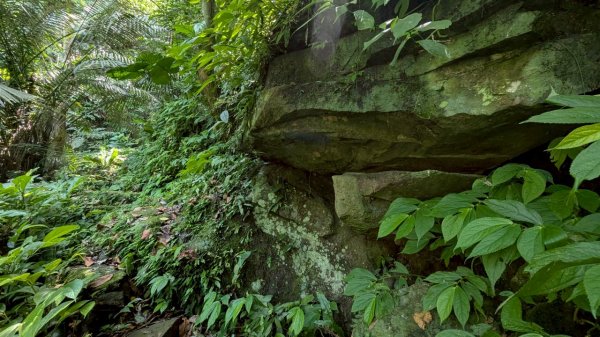 114.06.01溪山百年古圳-太平尾山+聖人崙之旅2801837