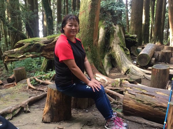 特富野古道賞舊鐵道479699