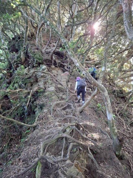 🌈11/9(日)高島縱走~高台山連走島田山山徑✨FB：熊熊趴爬走🌈2932476