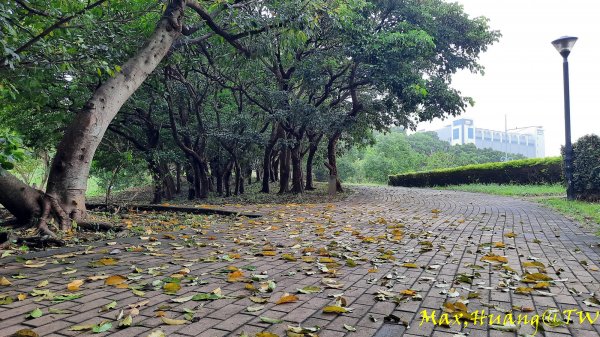 《台中》雙園連走｜東大公園連走都會公園202310072305936