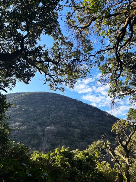 幸福五感森林癒2694307