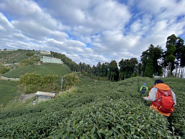 龍鳳、龍鳳峽、三叉崙、內樹皮、水桶寮、羊頭崙、志騰、竹崙、溪頭山九連峰縱走  2022/1/11570341