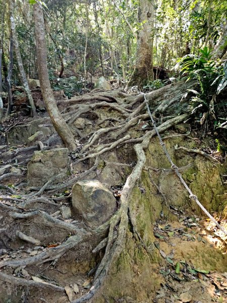 白毛山-谷關七雄(老六)3015210