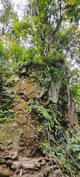 花蓮瑞穗．富源國家森林遊樂區景觀步道202602203013175
