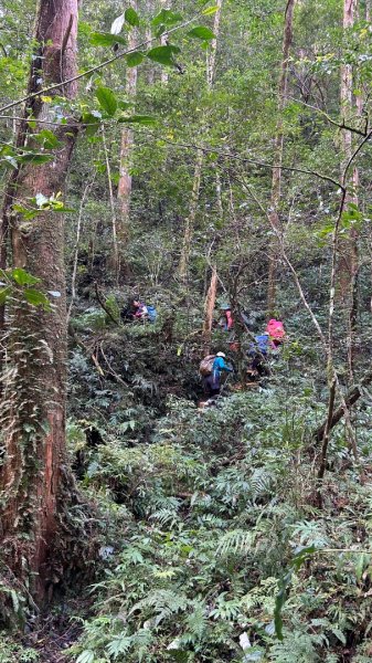 芃芃山西北稜大內台2693945