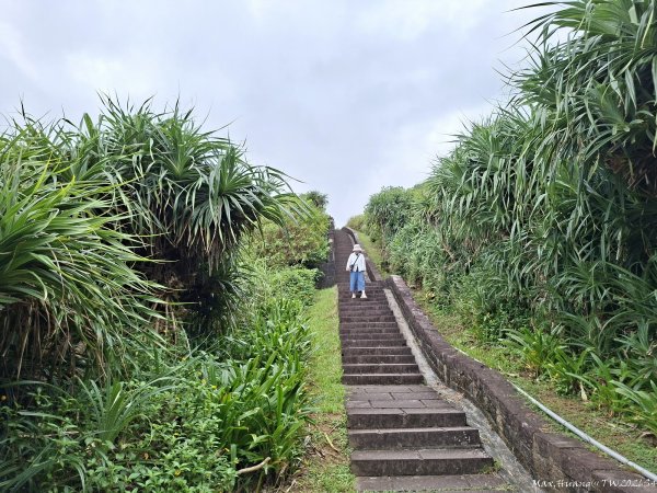 《新北》山海稜線｜瑞芳鼻頭角步道O繞202609183120110