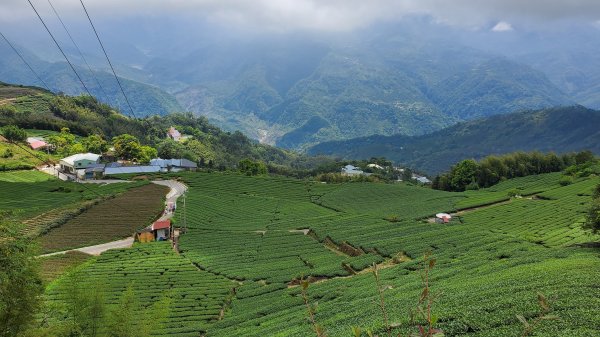 雲嘉大尖山 梨子腳山1727396