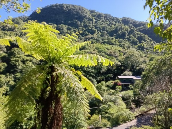 汐止區白雲古道+白雲寺O型2911940