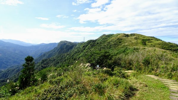 大溪,灣坑頭山,福隆790058