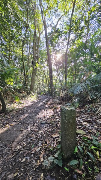 250210-九探魔王小百岳#073尾寮山。美美兔開學前收心操。2711450