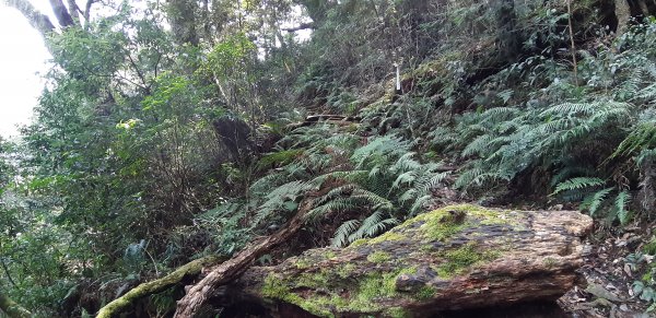 白姑大山之旅743400