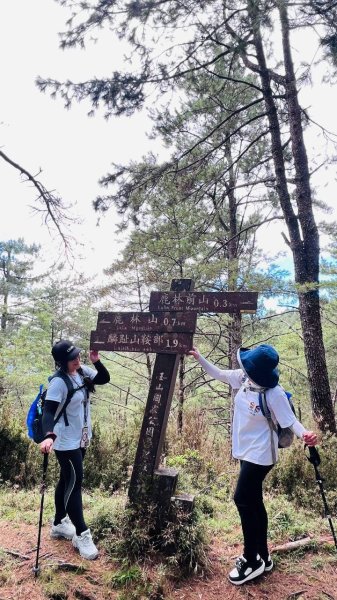🌈9/13(日)塔加三連峰-麟趾山×鹿林前山×鹿林山FB：熊熊趴爬走(富裕登山社)🌈3118900