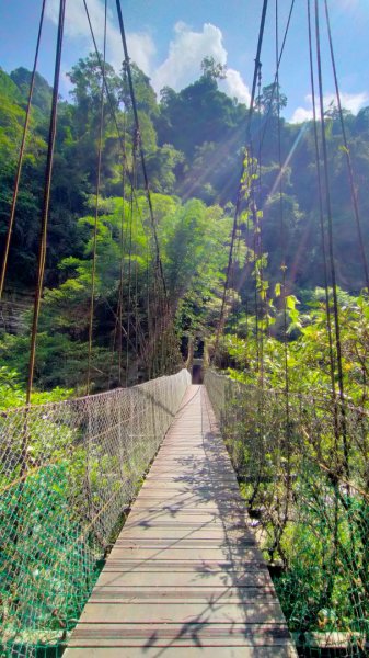 雲潭瀑布步道/青年嶺步道/燕子崖/蝙蝠洞/野薑花溪步道/綠色隧道 環狀1779280