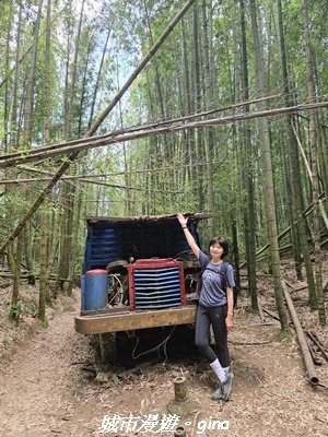 【台中和平】長壽山_肥崠山_山徑3077655
