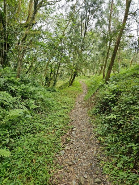 初音山-小百岳#88-花蓮縣吉安鄉2726100