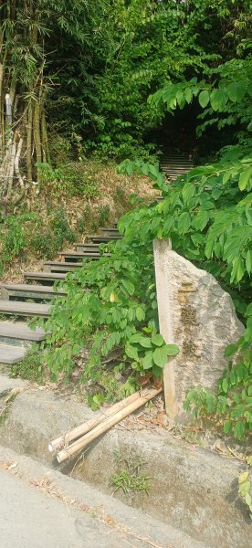 紅毛埤山+蘭潭.嘉市東區2961227